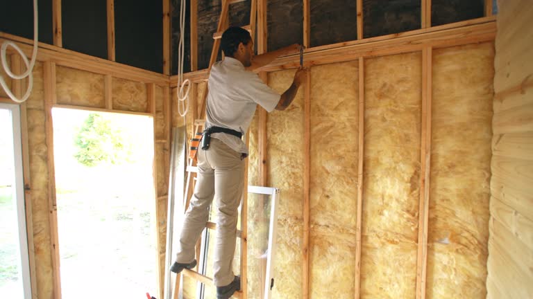 Best Blown-In Insulation  in Cocoa, FL